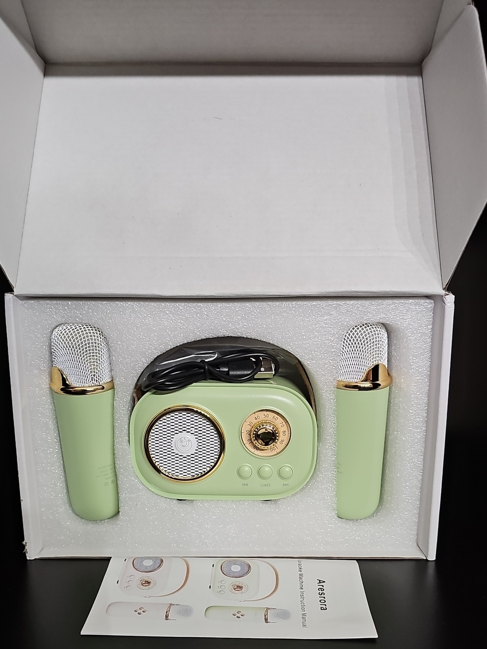 Portable Mint Green Karaoke Speaker with Dual Microphones, NIB